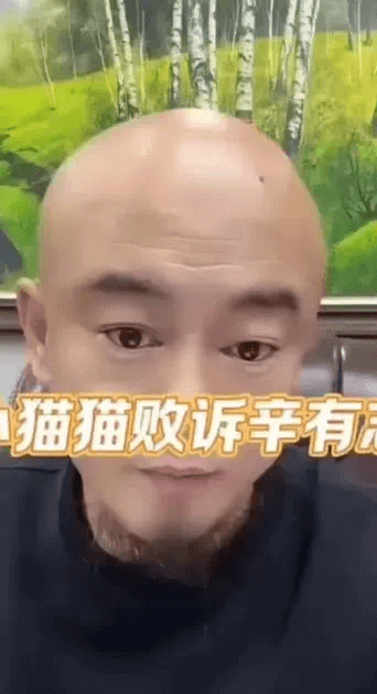 猫妹妹起诉辛巴两连败，手握公司几千万不打款！-第1张